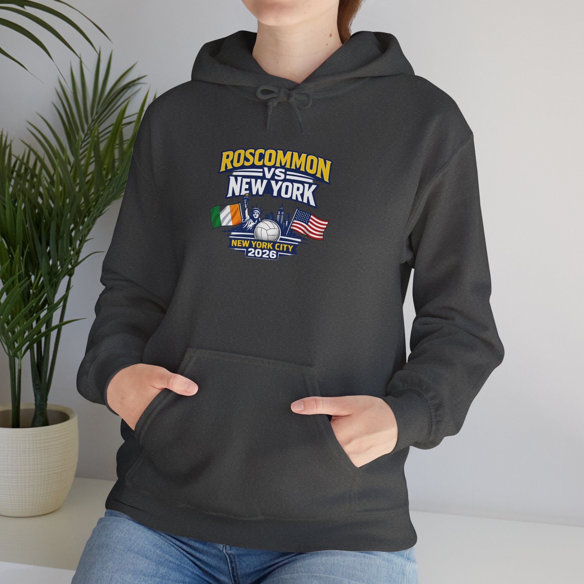 Roscommon V New York 2026 Hoodie –  Irish & US Flags